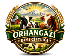 Orhangazi Besi Çiftliği Kurbanlık Tesisleri