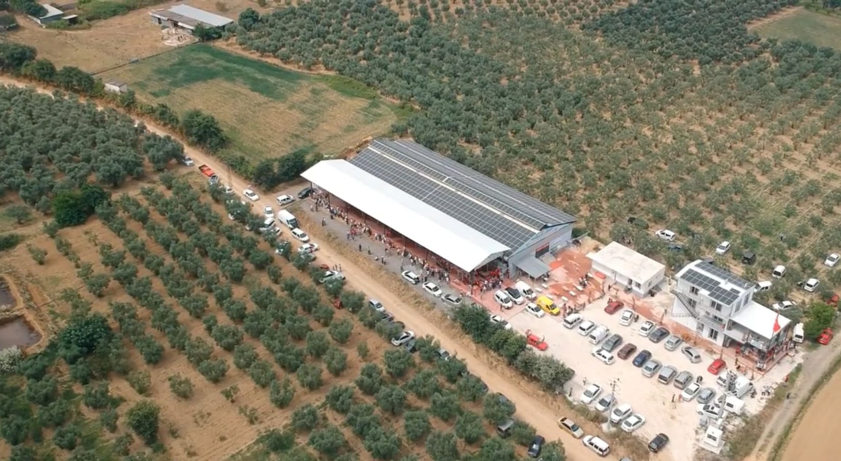 Orhangazi Hayvancılık